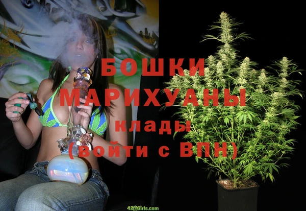 2c-b Каменка