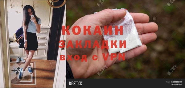 сатива Каменск-Шахтинский