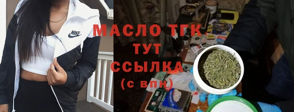 2c-b Каменка