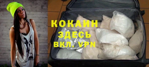 mdpv Каменногорск
