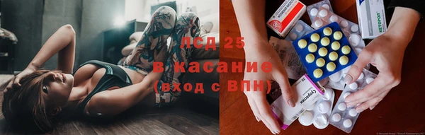mdpv Каменногорск