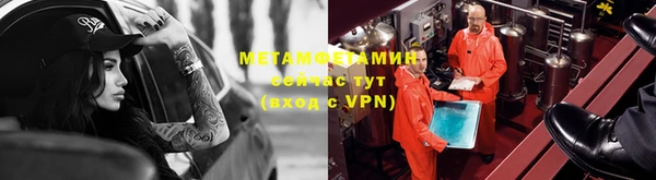 сатива Каменск-Шахтинский