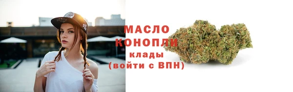 mdpv Каменногорск