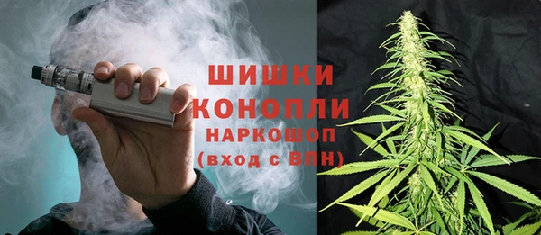 mdpv Каменногорск