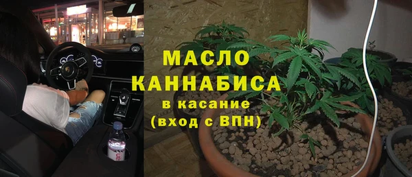 сатива Каменск-Шахтинский