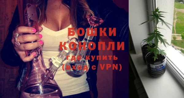 mdpv Каменногорск