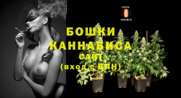 2c-b Каменка