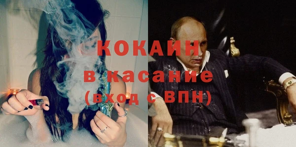 сатива Каменск-Шахтинский