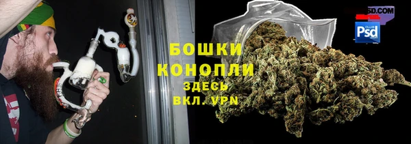сатива Каменск-Шахтинский