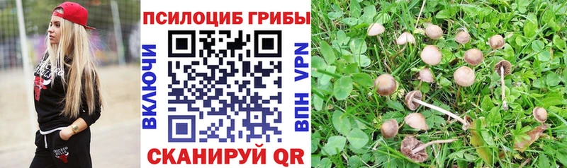 Галлюциногенные грибы MAGIC MUSHROOMS  Купить закладки  Верхнеуральск 